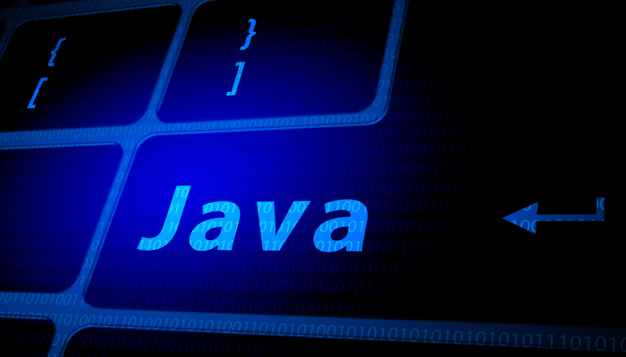 Roles y responsabilidades de desarrollador Java