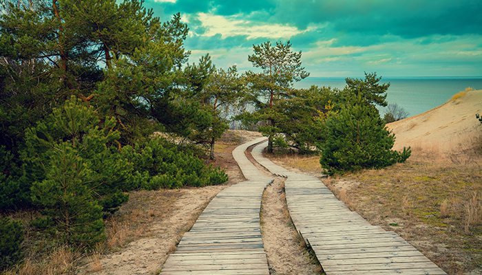 TI sostenible: formas en que la TI puede ser más ecológica y por qué es importante