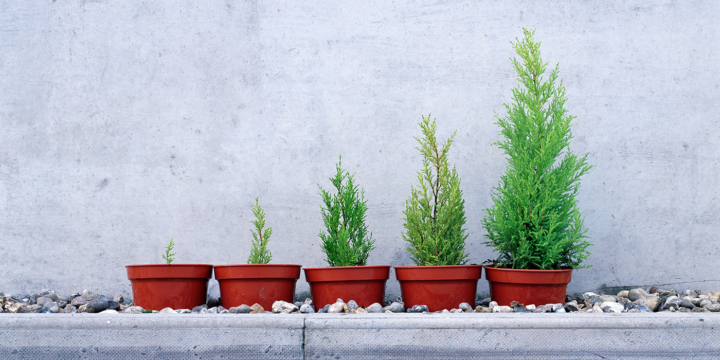 La Guía para Principiantes de Spring Framework: Características, Arquitectura y Comienzo