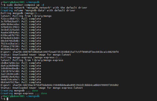 MongoDB Docker 9.1 - configuración avanzada de contenedores