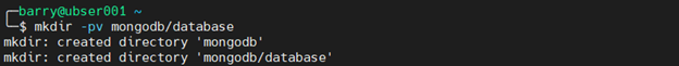 MongoDB Docker 4.2 - Crea Docker Compose directorio