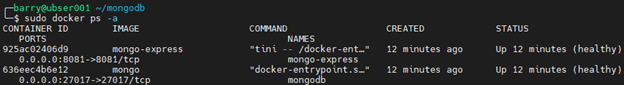 MongoDB Docker 9.2 - comando PS