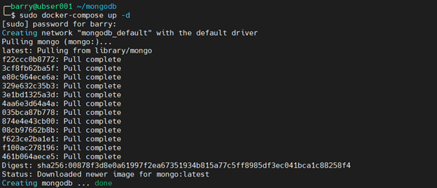 MongoDB Docker 4.4 - Comienza contenedor de MongoDB