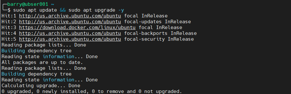 MongoDB Docker 1.1 - actualizar los paquetes existentes