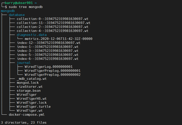 MongoDB Docker 7.2 - verificar archivos de base de datos