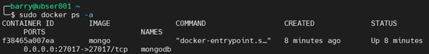 MongoDB Docker 4.5 - verifica el contenedor Docker