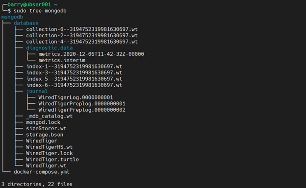 MongoDB Docker 4.6 - verifica el contenedor de MongoDB