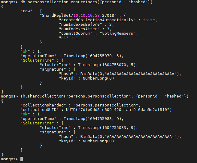 Creación del conjunto de datos de sharding 4