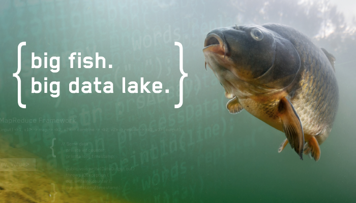 Data Lake vs. Data Warehouse vs. Base de datos: Diferencias clave explicadas